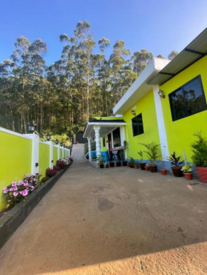Mountain cheers munnar